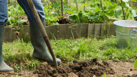 Moestuin, benen met laarzen en een schop in de aarde